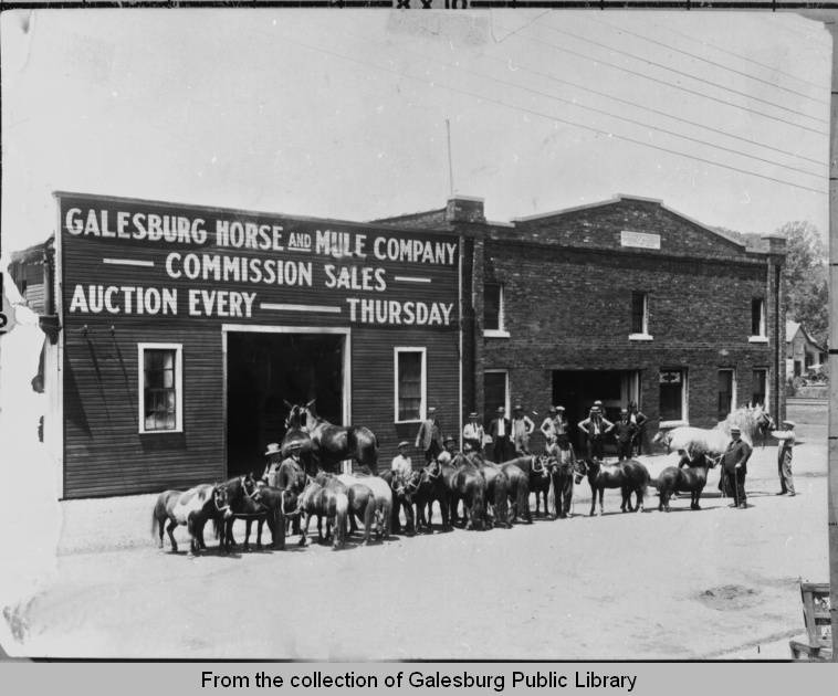 Leroy Marsh Horse & Mule Market in Galesburg, IL, ca 1900