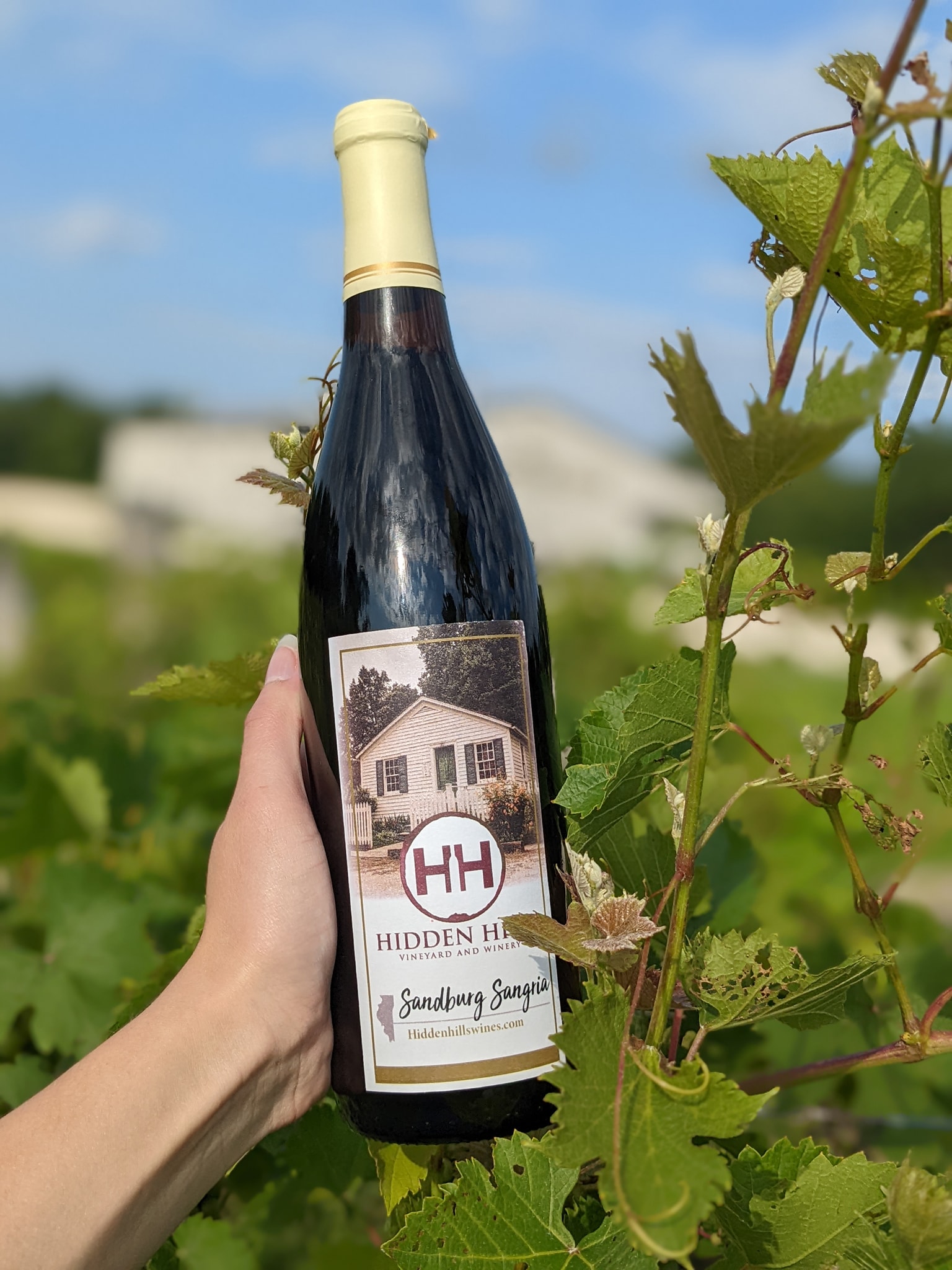 "Sandburg Sangria" - Newest wine from Hidden Hills Vineyard & Winery, Knoxville, IL